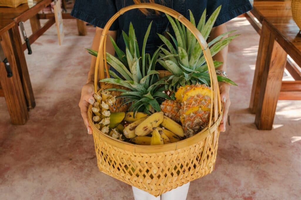 A basket of fresh fruit prepared for the elephants at Love Elephant Sanctuary Bangkok